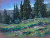 Alpine Paradise