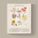The Plan of Salvation Through Floral Symbolism