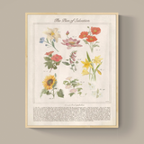 The Plan of Salvation Through Floral Symbolism
