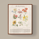 The Plan of Salvation Through Floral Symbolism