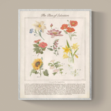 The Plan of Salvation Through Floral Symbolism