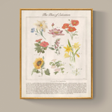 The Plan of Salvation Through Floral Symbolism