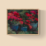 Joyful Geraniums